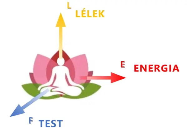 test, lelek, energia hármasa, amiből minden felépül